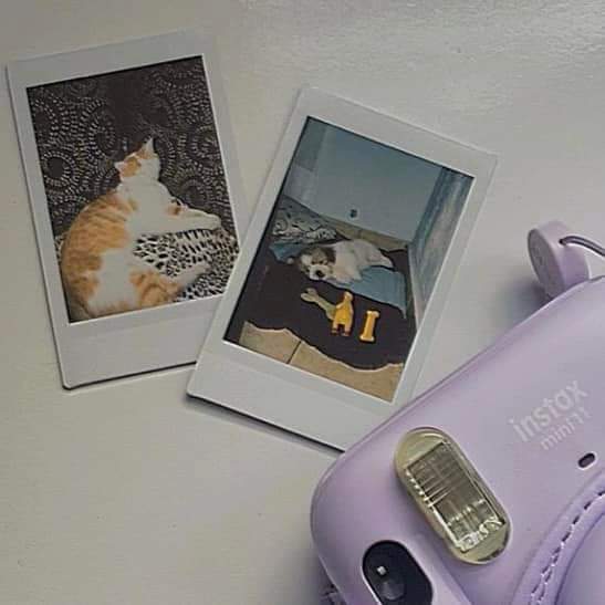 ₊ ⊹* ੈ✩‧˚