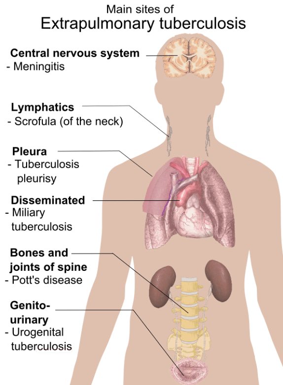 nursingahead tweet picture