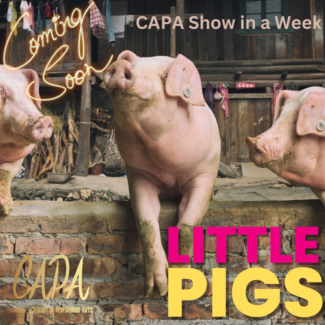 CapaCoombe's tweet photo. Great to be back in our rehearsal rooms today for Day One of #ShowInAWeek show cast ready for our full day of blocking tomorrow. #LittlePigs is on sale now: https://t.co/wifD7C0Q21 https://t.co/ZJ6RsdBfIp