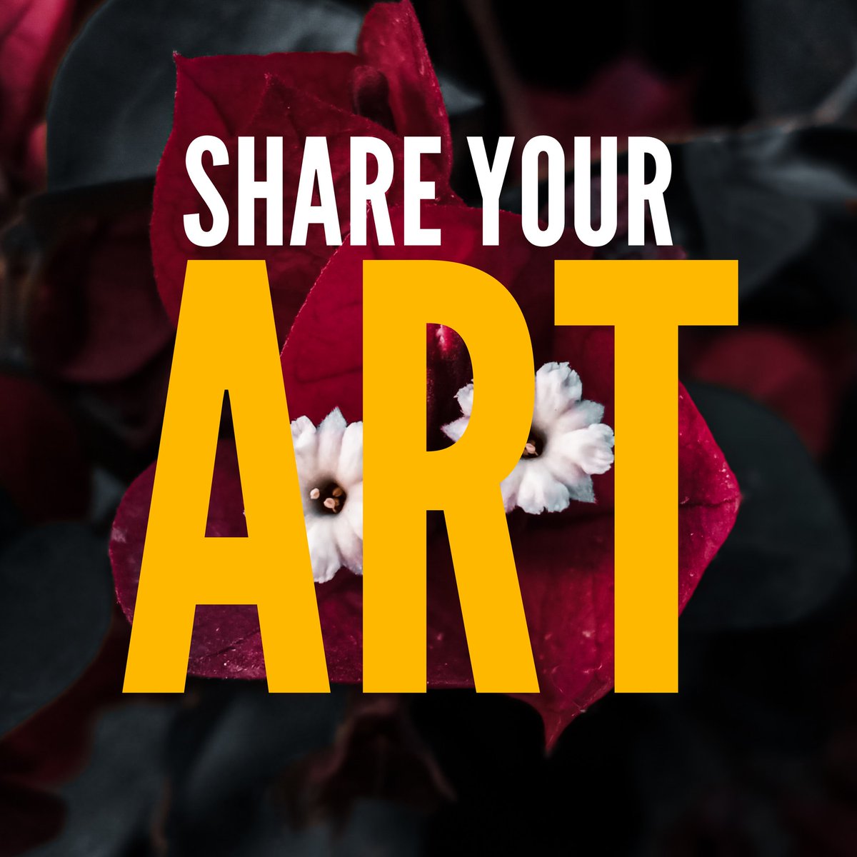 realtinywhale's tweet image. Gm #Web3
Show the World how creative you are. 

- Share your art and add #tinyturtle 
I will like, retweet and comment as much as twitter allow me to.