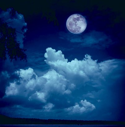 Spyder_Collins's tweet image. Excuse me
but I believe
that is my heart you
have in your hands
please be careful
not to cause
another #scrape
as it is delicate
still with all its scars
&amp;amp; if you would
never discard it
as it means a lot to me
I am over the moon
my heart being with you
I hope you are too

#vss365