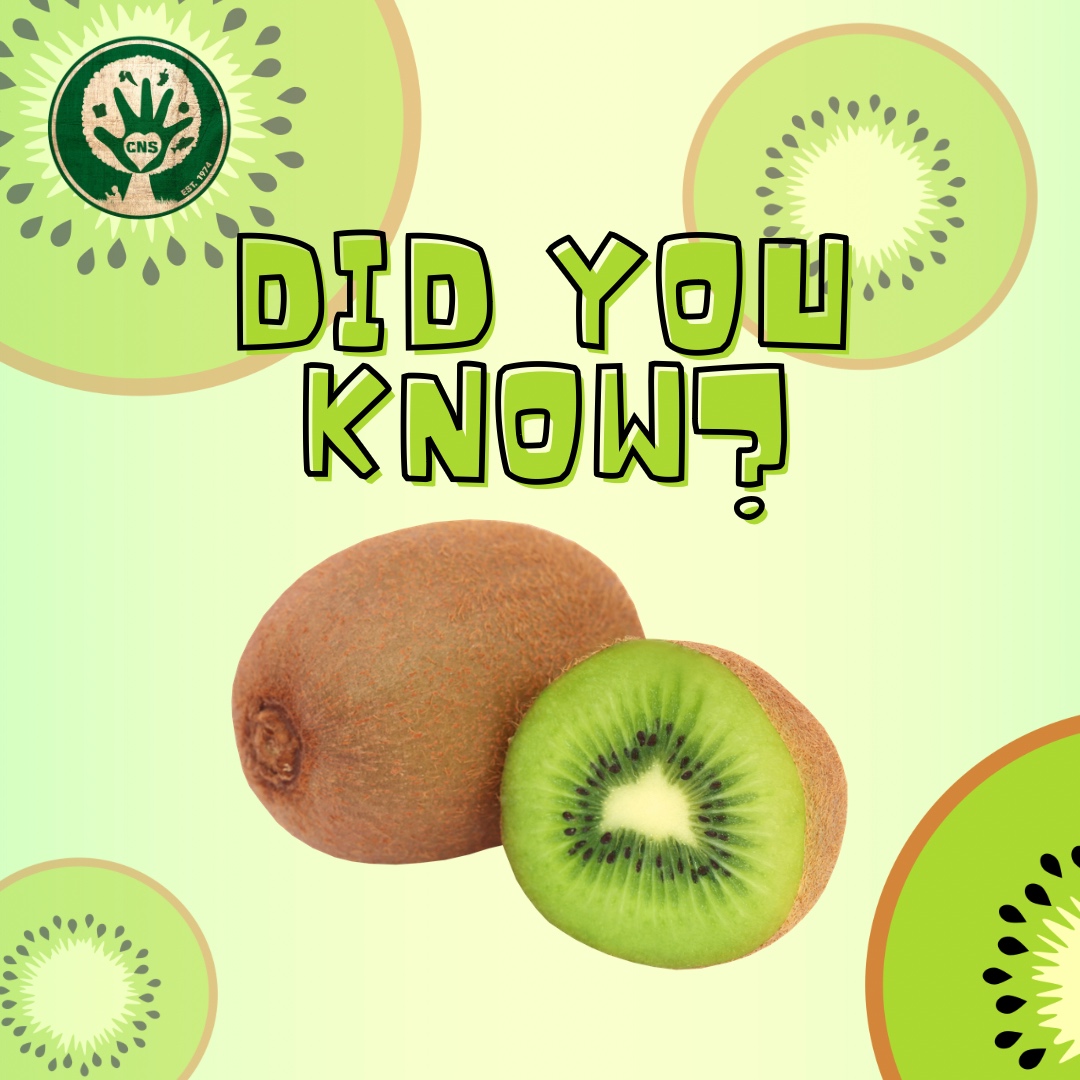 Another name for a kiwi is Chinese Gooseberry. They got their name in part because their furry outside is similar to a bird of the same name. Kiwi is delicious and packed with nutrients. #schoolnutrition #triviamonday