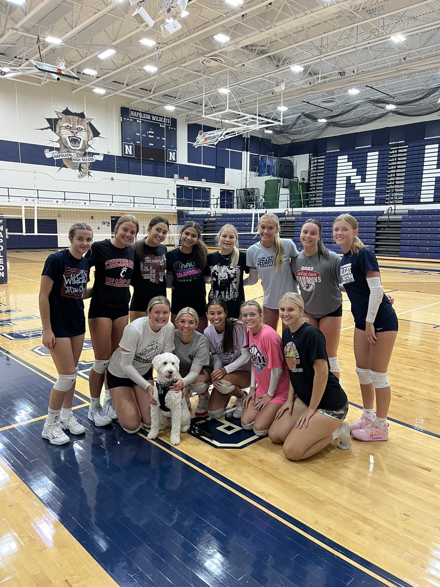 Napoleon Volleyball tweet media