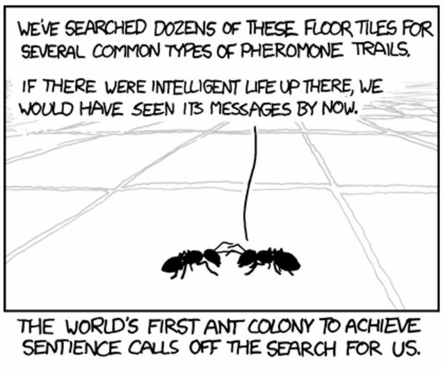 Miriam Wesselink (@miriamwesselink) on Twitter photo 