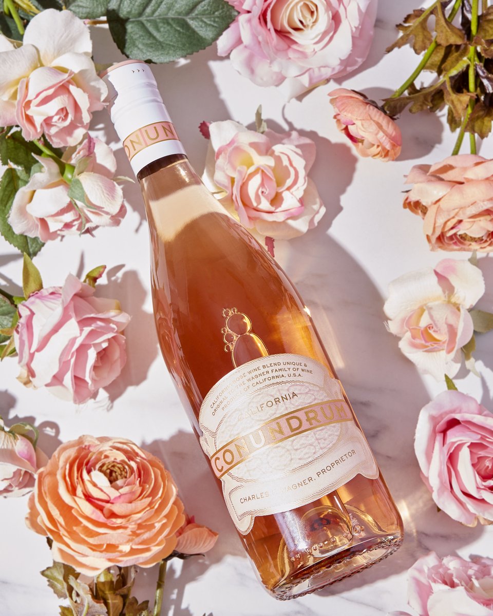 I propose a toast! To us making great content together! 
.
digichromestudios.com
.
#ros #day #nationalros #wine #nationalroseday #roseallday #allday #rose #rosewine #winetasting #winelover #winetime #drinkpink #roseday #instawine #vino #lover #vibes #ilovewine #glassofwine