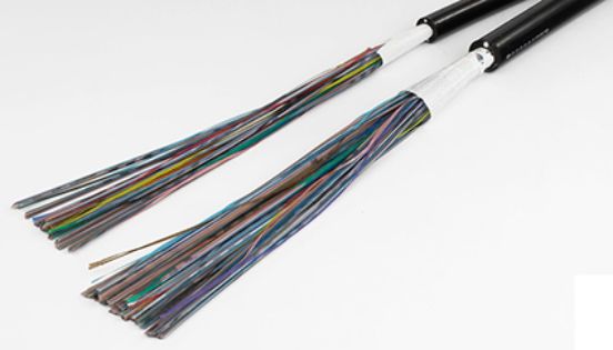 Mulder-Hardenberg tweet media