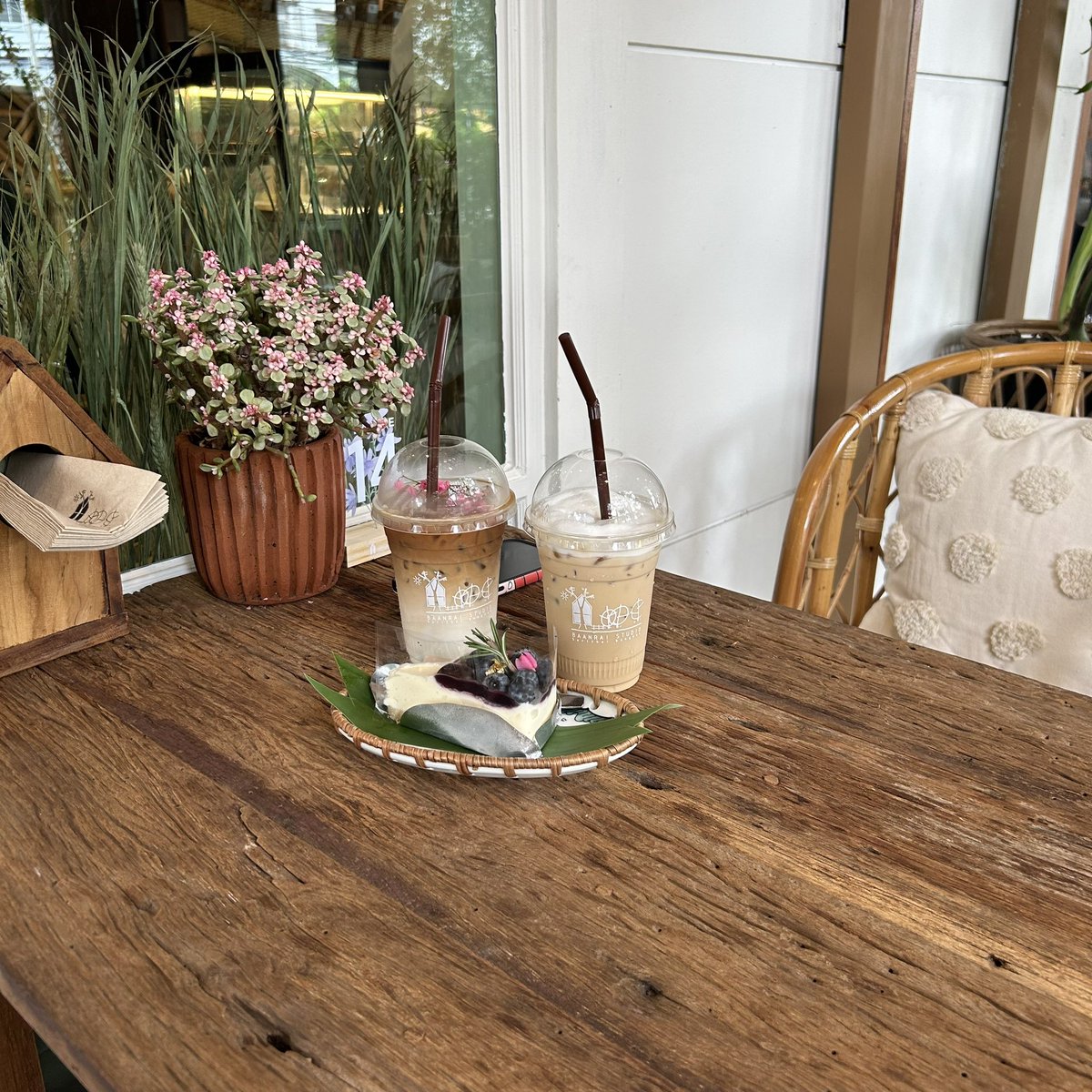 🍊📍Baanrai Studio บ้านไร่สตูดิโอ คาเฟ่และร้านอาหารเปิดใหม่ เจ้าของเดียวกับบ้านไร่ไออรุณที่ระนอง😍  คงคอนเซปเน้นต้นไม้ ฟีลโฮมมี่ บรรยากาศร่มรื่น มาพักผ่อนหย่อนใจใกล้ชิดธรรมชาติที่กรุงเทพย่านเสรีไทยกันนน <a href="/aroii/">@aroii บอกต่อ</a> <a href="/Kin24hrs/">กิน24ชั่วโมง</a> <a href="/Review_Thailand/">รีวิวไทยเเลนด์</a>