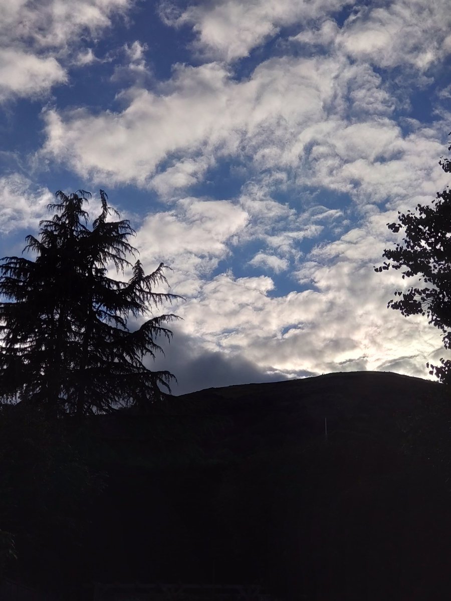 hautecommetrois's tweet image. My favourite gate (I love so many things about it) and rather wonderful late afternoon sun. More treasures offered for #SmallBeautiesHour #ThreadOfGold