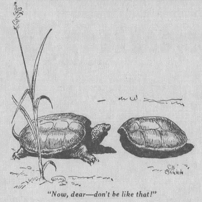 doctorow's tweet photo. The San Francisco Examiner, California, November 6, 1935 https://t.co/5uon05lKCS https://t.co/u1YaQKtnil