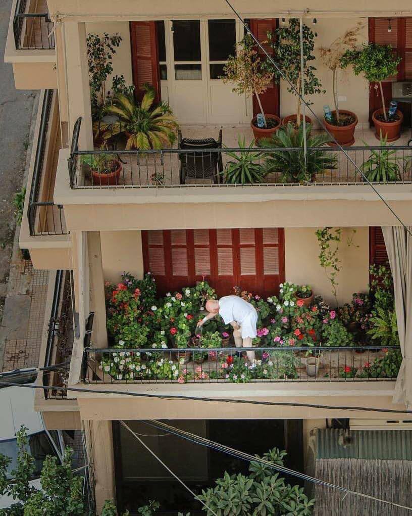 أ. مُحِب للجَمال. (@philocaaalist) on Twitter photo 