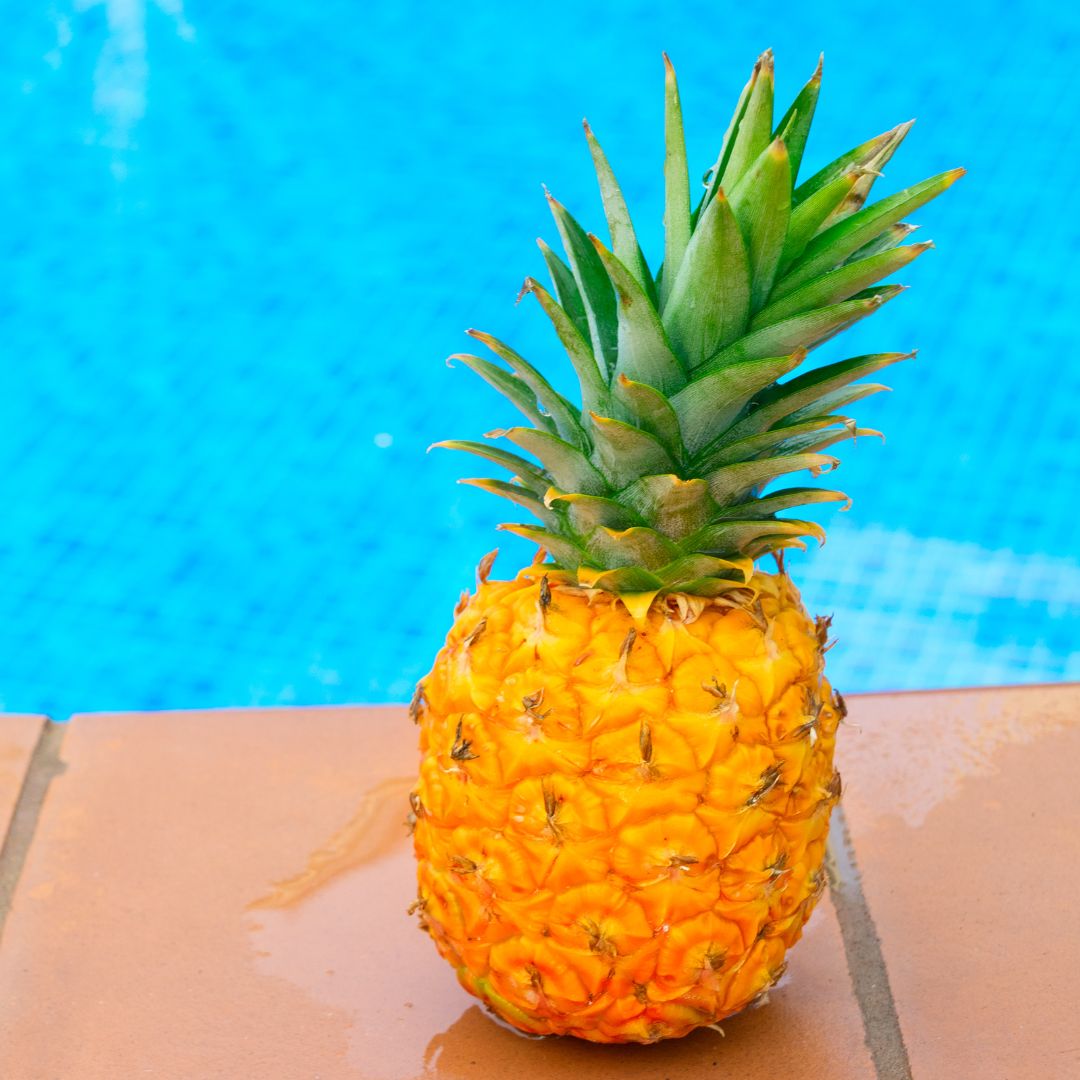 🌊💦 What's your go-to poolside snack? Share your favorite treat that makes pool time even sweeter! 🍉🍍 
.
.
.
#ClassicMarcite #poolresurfacing #poolrenovation #pool #swimmingpool #familyownedbusiness #residentialpool #commercialpool #Jacksonvillepools #Orlandopools