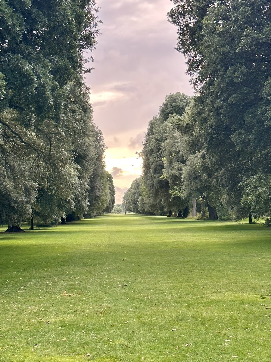 Kat Halstead tweet media