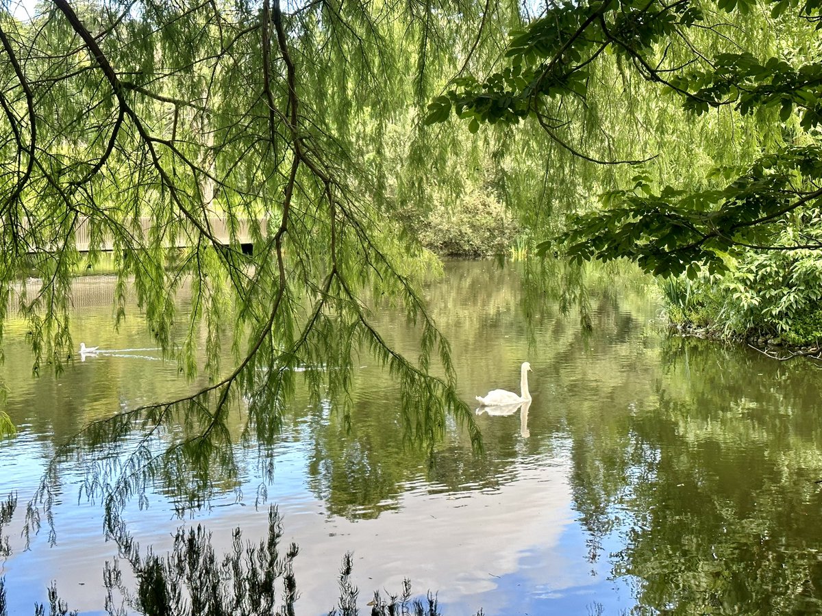 Kat Halstead tweet media