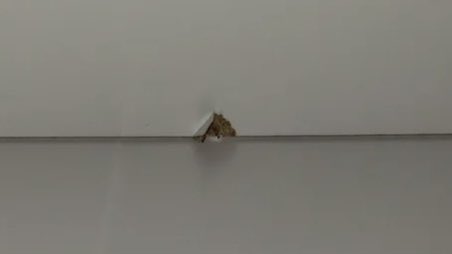 €irikur Jónsson tweet media