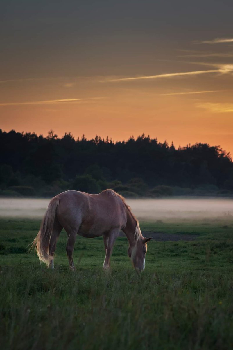 There are moments when time and eternity meet and the heart melts, thoughts stop, the soul flickers and a person feels: The Greatest is near.