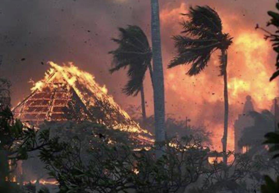 TheOvalPawffice's tweet photo. 🐾💔 Maui hoomans desperately search for animals lost in deadly wildfires. @mauihumane are treating many animals in need of critical care due to smoke inhalation and burns, and it expects an inundation of lost pets. Please, if you can, help! Donate https://t.co/y0KjF3YF9b https://t.co/3zJOr0Zlz7