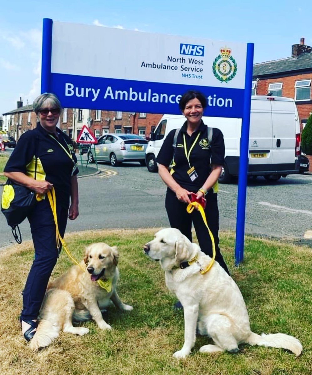 Therapy Dogs tweet media