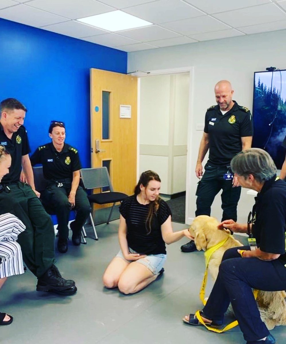 Therapy Dogs tweet media