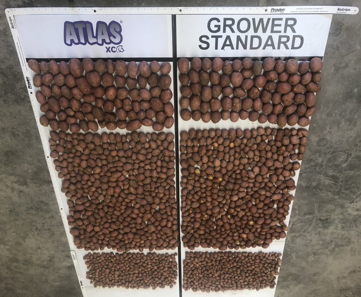 Adam Voss tweet media