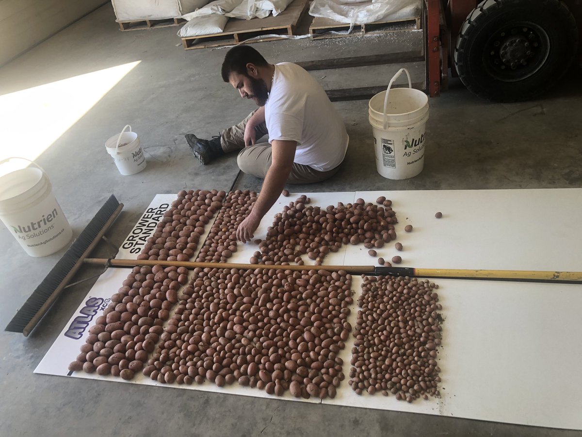 Adam Voss tweet media