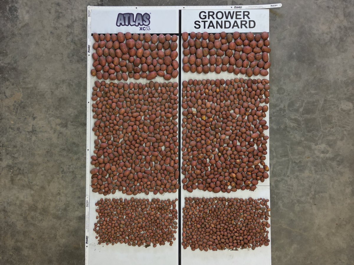 Adam Voss tweet media