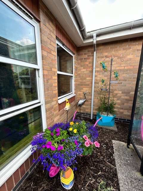 Photos from the secret garden on Ward 6. Staff and patients have been helping cultivate all sorts of veggies and flowers when the weather has permitted. Just look at the pumpkin patch 😍