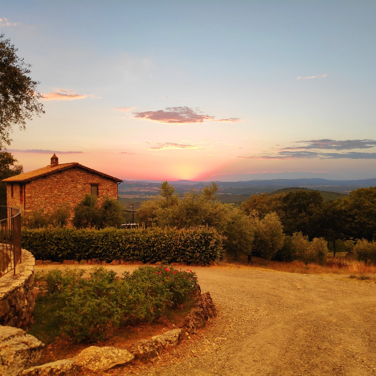 Johan Aradan tweet media