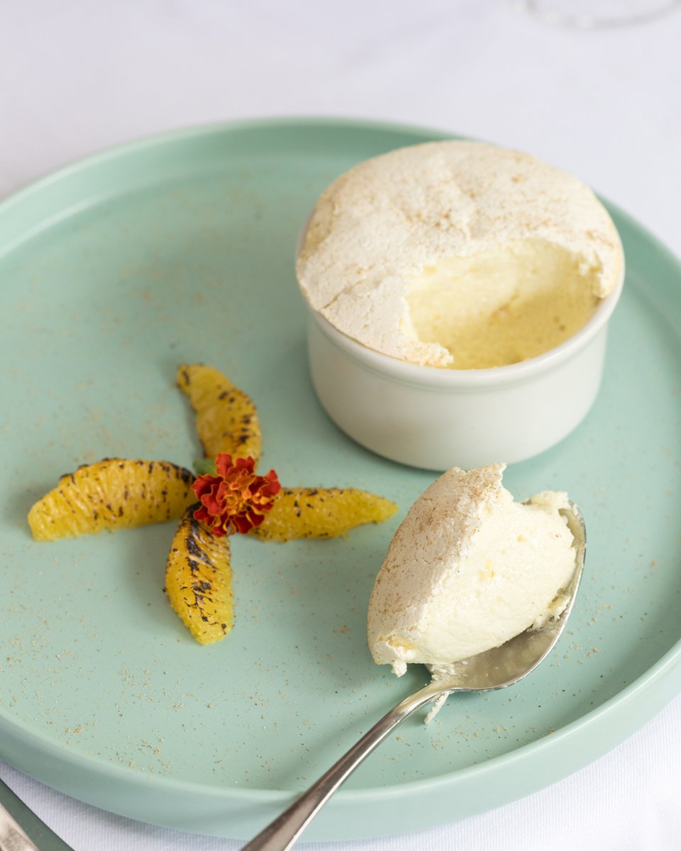 The Sandpiper tweet media