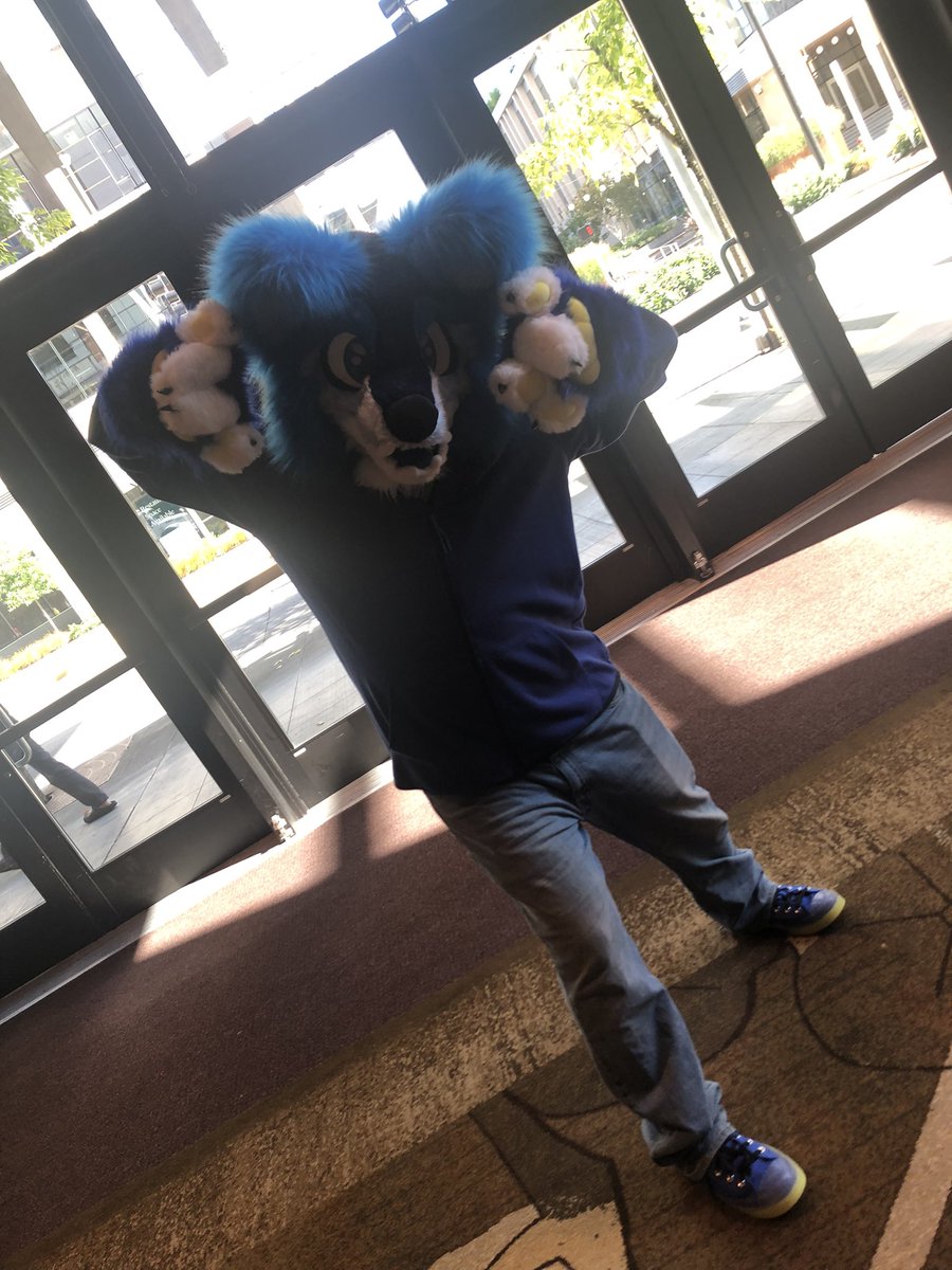 Summer_Rine_21's tweet photo. I encountered so many colorful floofs during my adventures at #EFNW2023! 

 (1/2) https://t.co/KxS3IBKQeO