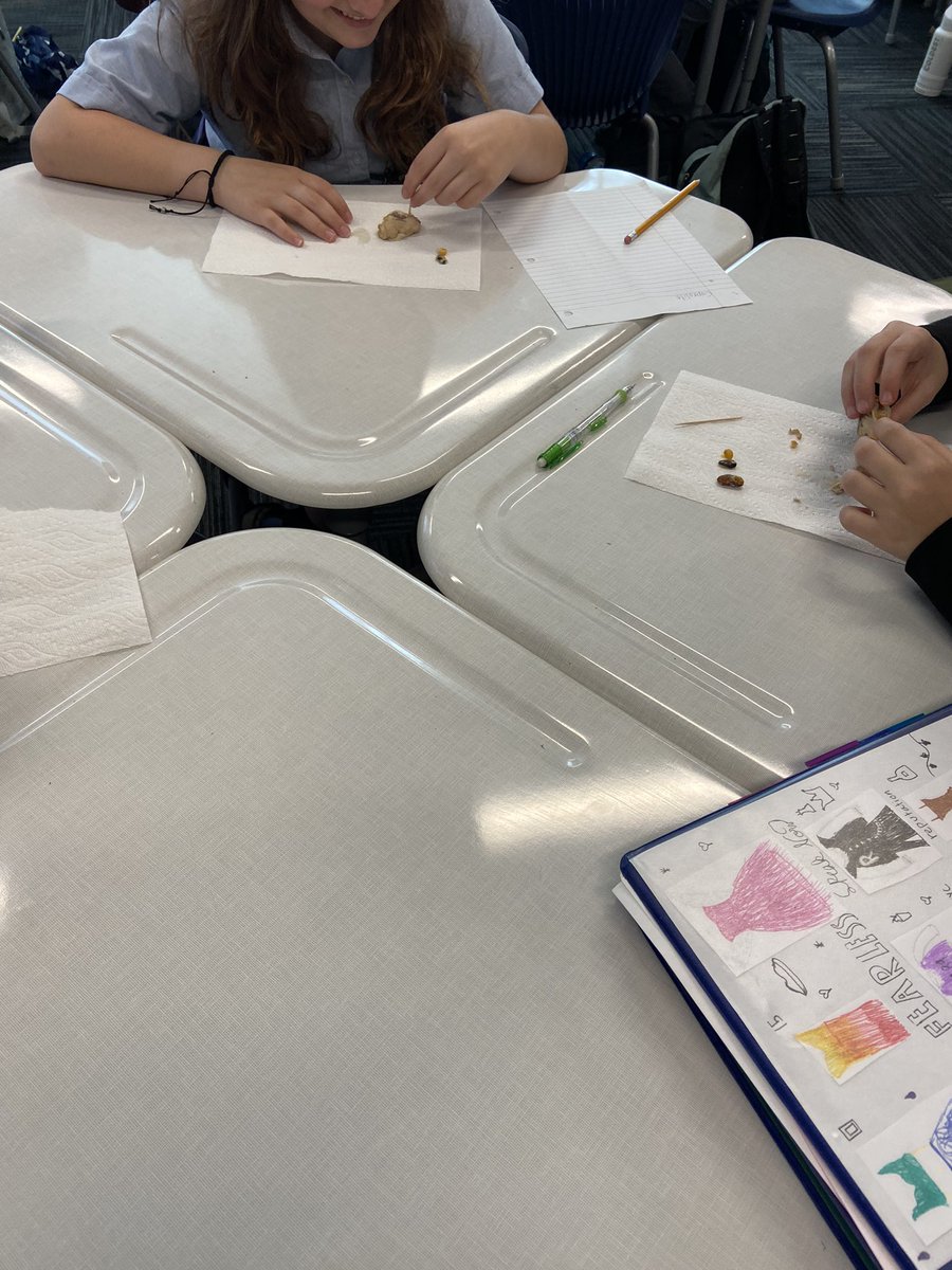 Today, 8th grade Ss <a href="/BartonAcademy/">Barton Academy for Advanced World Studies</a> excavated “faux” coprolite after learning a little bit about archaeology. #engaginghistory