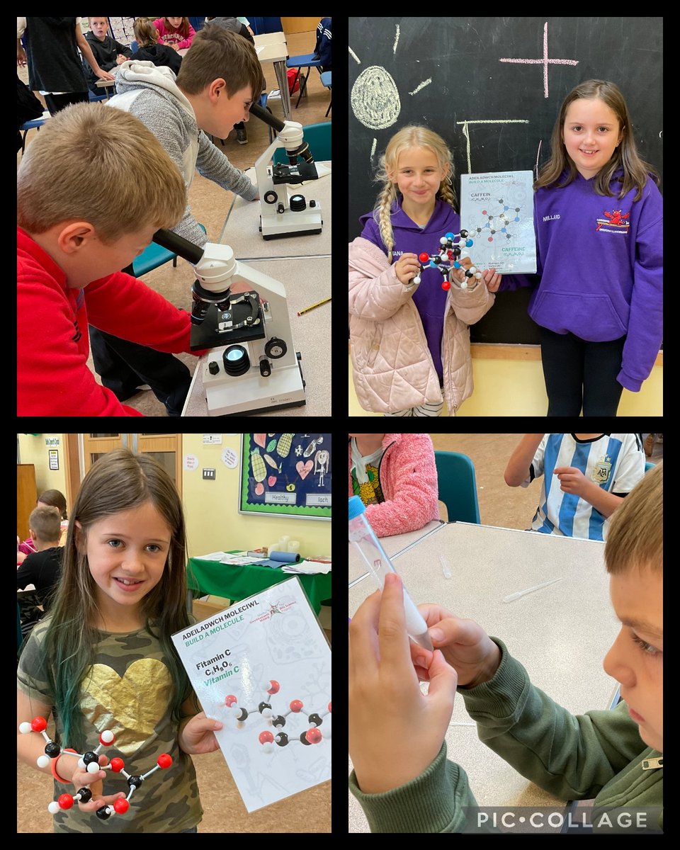 We were joined today by Dr Helen Whiteland from The Big Science Project who showed us how to extract our DNA, build molecules, use engineering skills when building bridges and seeing what different things look like under the microscope 🔬🧪 #foodandfunwales <a href="/PowysCC/">Powys County Council</a>