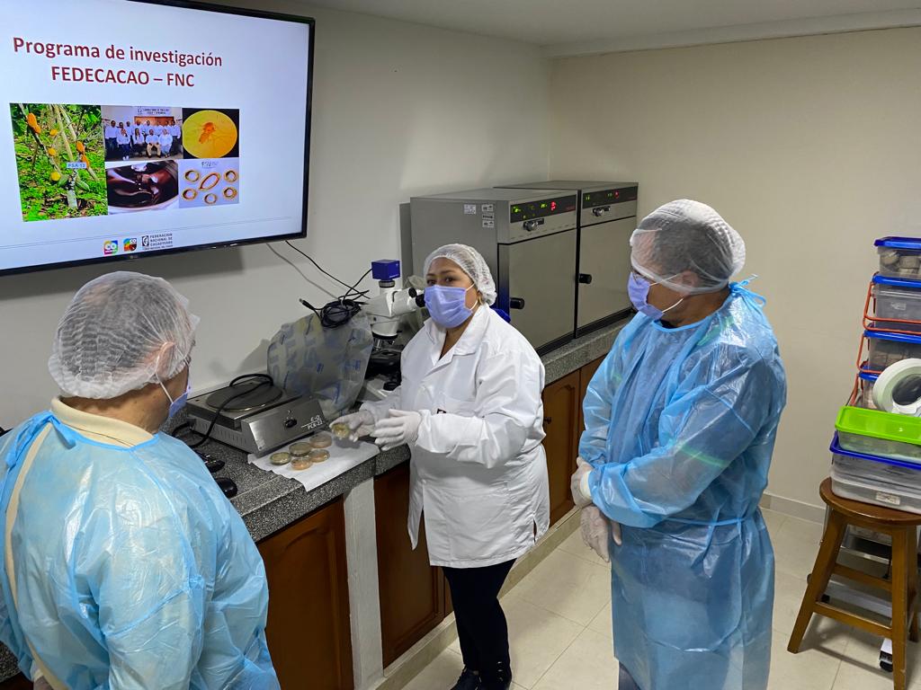 MinAgricultura's tweet image. Junto a @Mapa_Brasil, @ABCgovBr y @Fedecacao intercambiamos conocimientos 🤝  🧠 sobre la cadena de cacao, con el objetivo de implementar nuevas prácticas de extensionismo para mejorar el sector. 🌱🍫