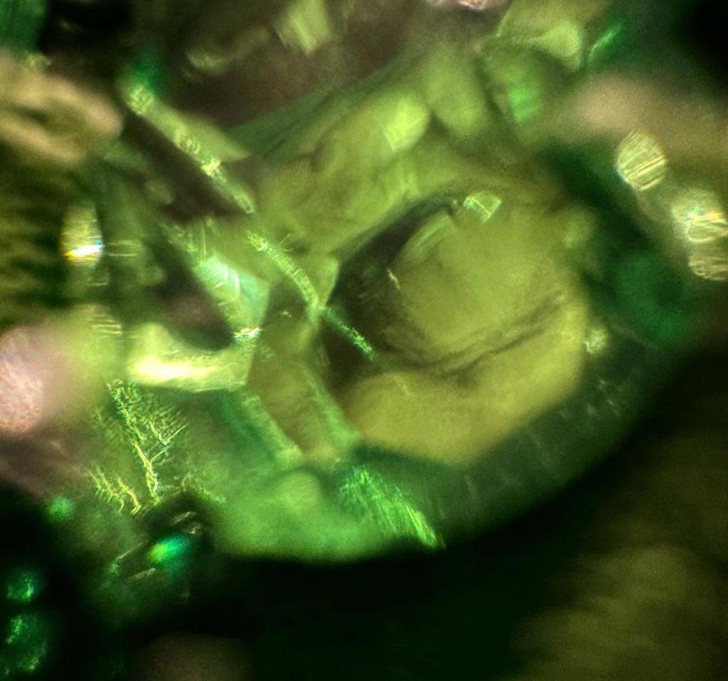 📸: SophieT &amp; <a href="/joejonas/">J O E  J O N A S</a>

🎵 long long New York nights 🎵