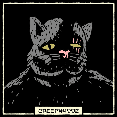 DatCats tweet media