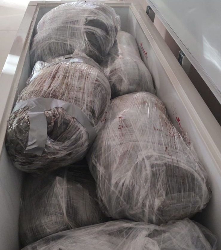 #NACIONAL 🔴| ¡Escalofriante! 😱😱 Policías municipales de #PozaRica y elementos de la fiscalía de #Veracruz catearon dos viviendas y encontraron 34 cuerpos desmembrados dentro de hieleras y refrigeradores.

Al decir de autoridades los cateos se hicieron luego de un