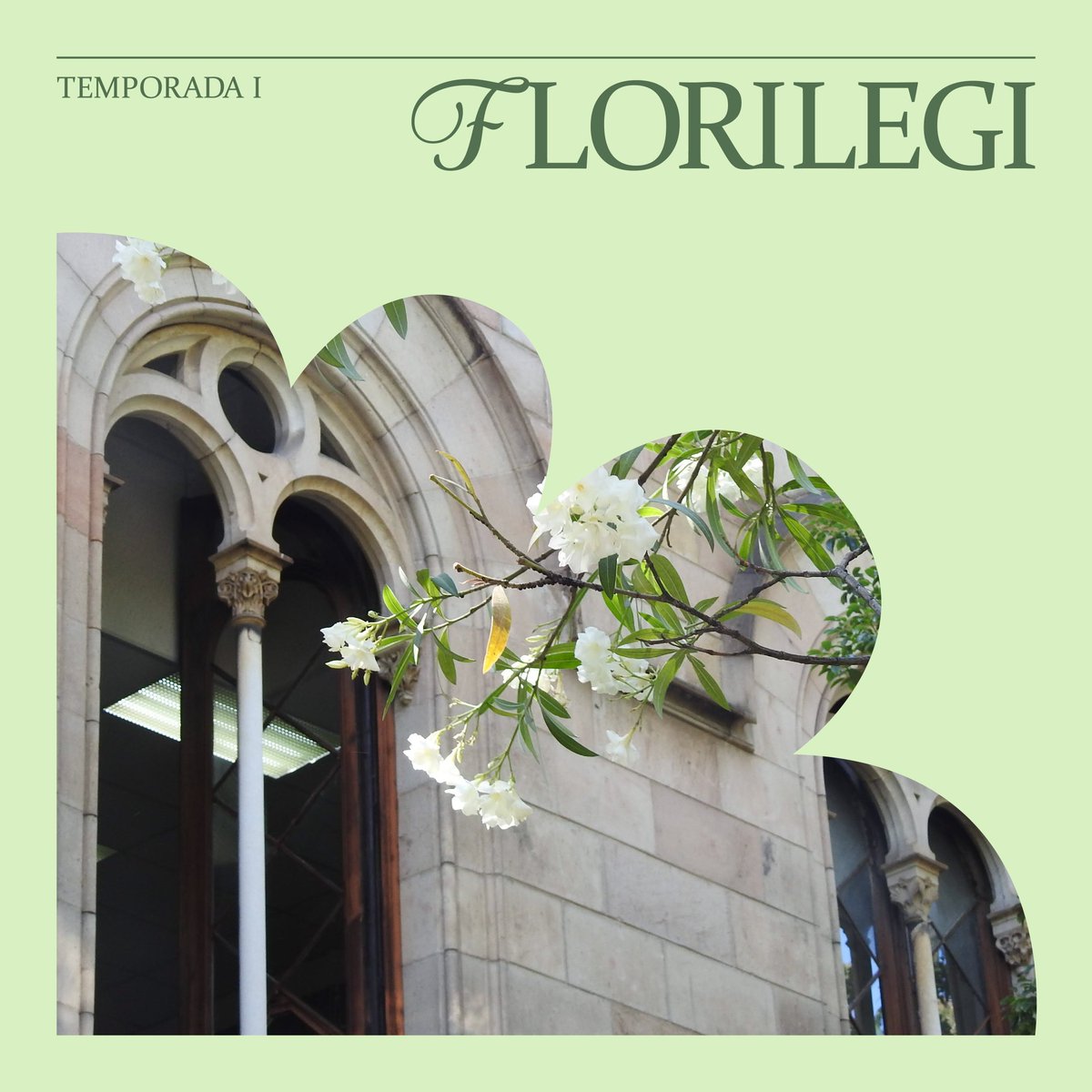 Després d'aquesta pausa estival, anem tornant per escalfar motors!
Presentem la primera temporada de l'Antiga Antena:

🌺FLORILEGI🌺
Un senzill ramet de floretes pensat per delectar-vos (i delectar-me) amb el seu ben bigarrat revoltim de colors.