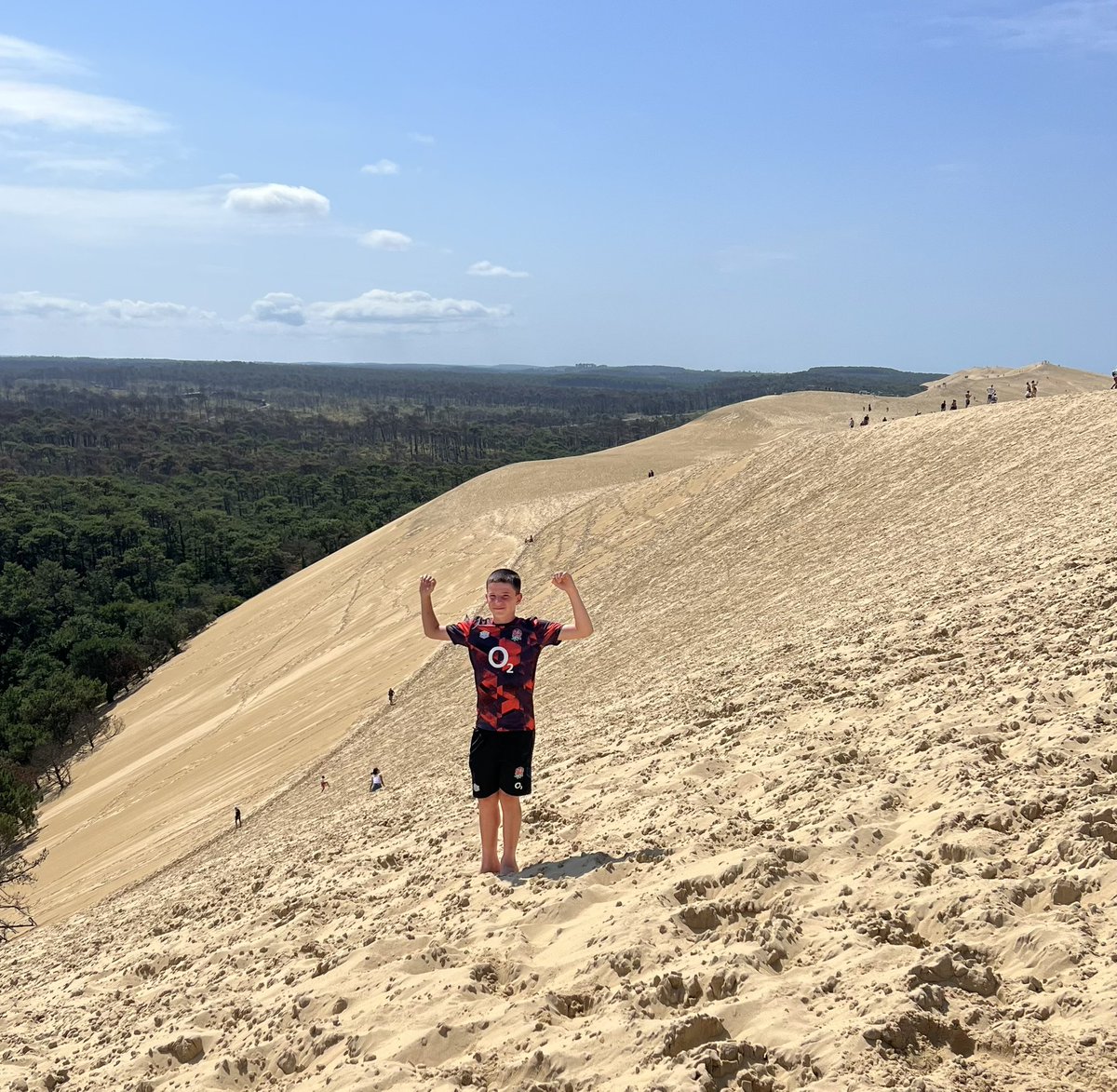 Tobys Bearathon tweet media