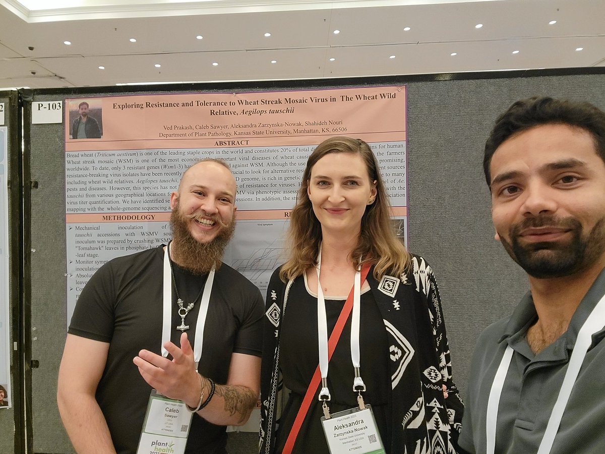 vedjiwan's tweet photo. Excited to participate and share our research at #APS #PlantHealth2023.
If you are here, check out my poster #P103, Exploring resistance and tolerance to #WSMV in wheat wild relative.
#PlantHealth2023
#APS https://t.co/6vTLD5WVh9