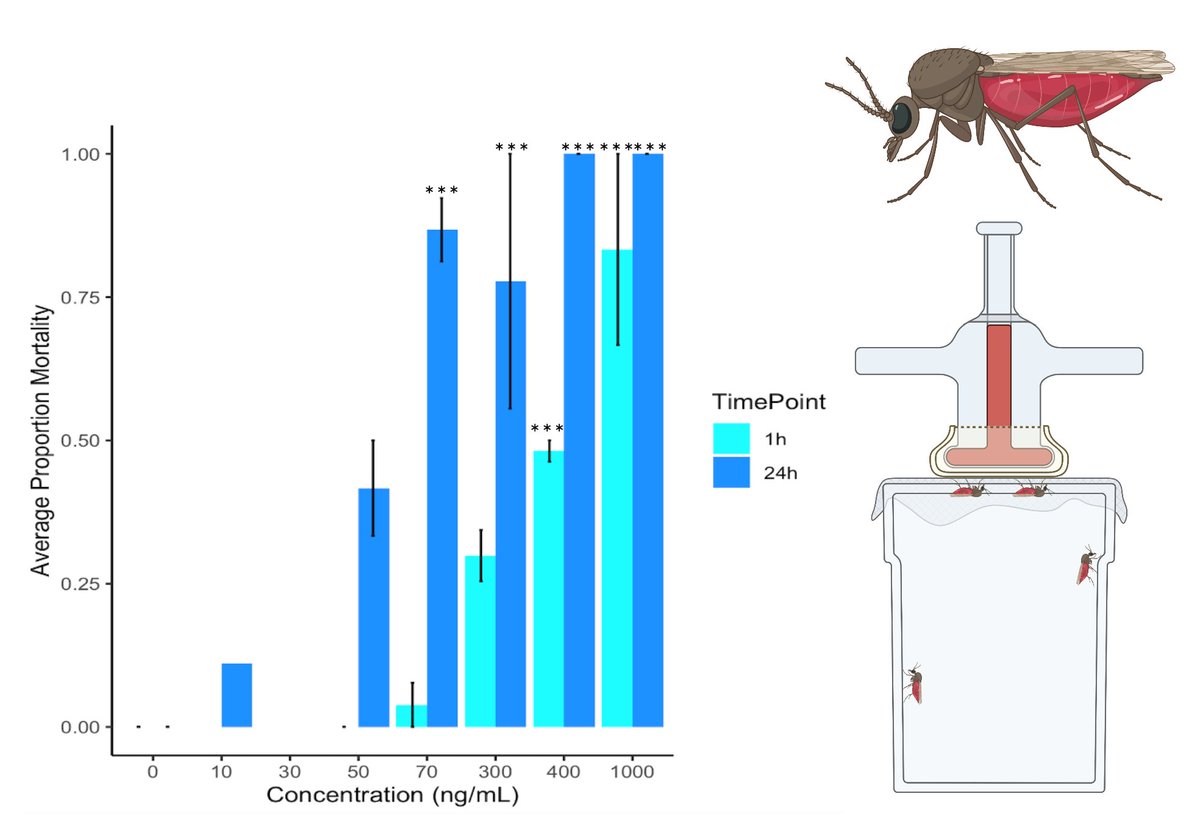 Emily McDermott tweet media