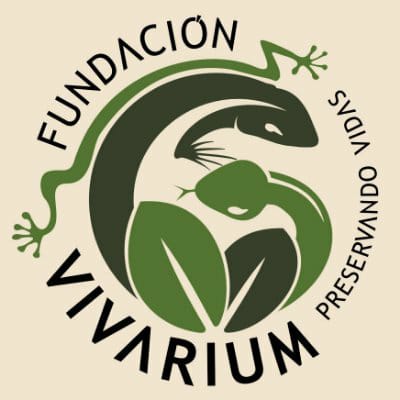 Topotepuy tweet media