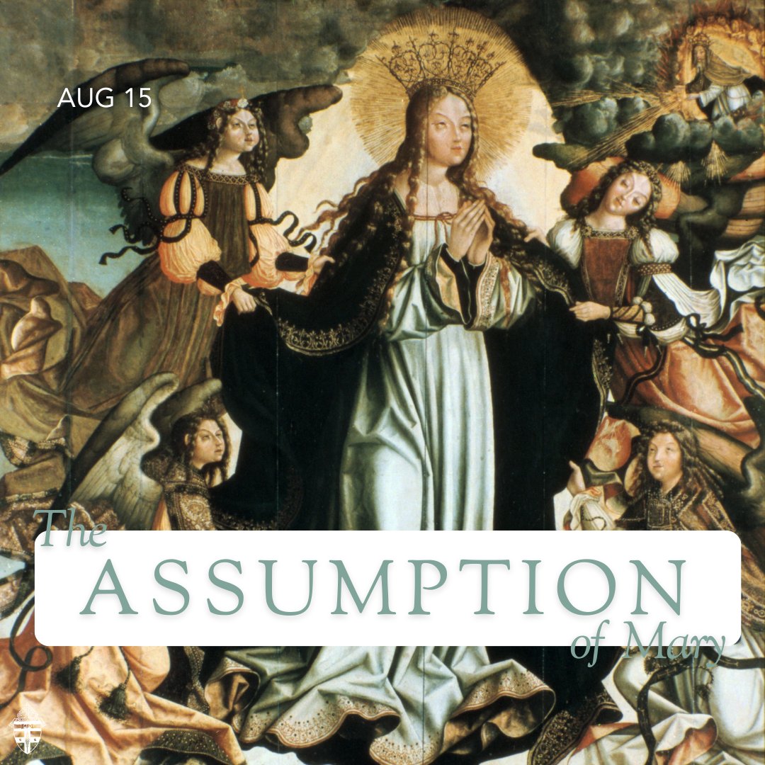 Today we celebrate the Assumption of the Blessed Virgin Mary, a holy day of obligation.
Find a Mass near you today!  owensborodiocese.org/find-a-mass/