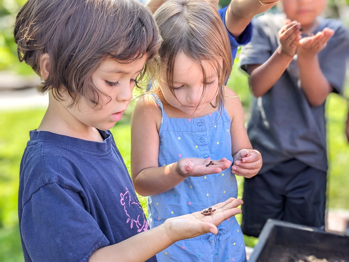 Holding, feeding and caring for the composting worms was a highlight of farming classes for Children's House students in the Horizons program.
#LMSFarm #LMSHorizons #LMSSummer