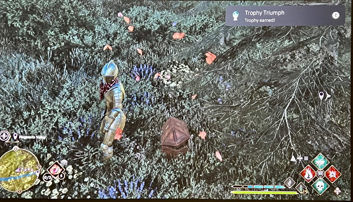 DirkNashty🏀🎧 tweet media