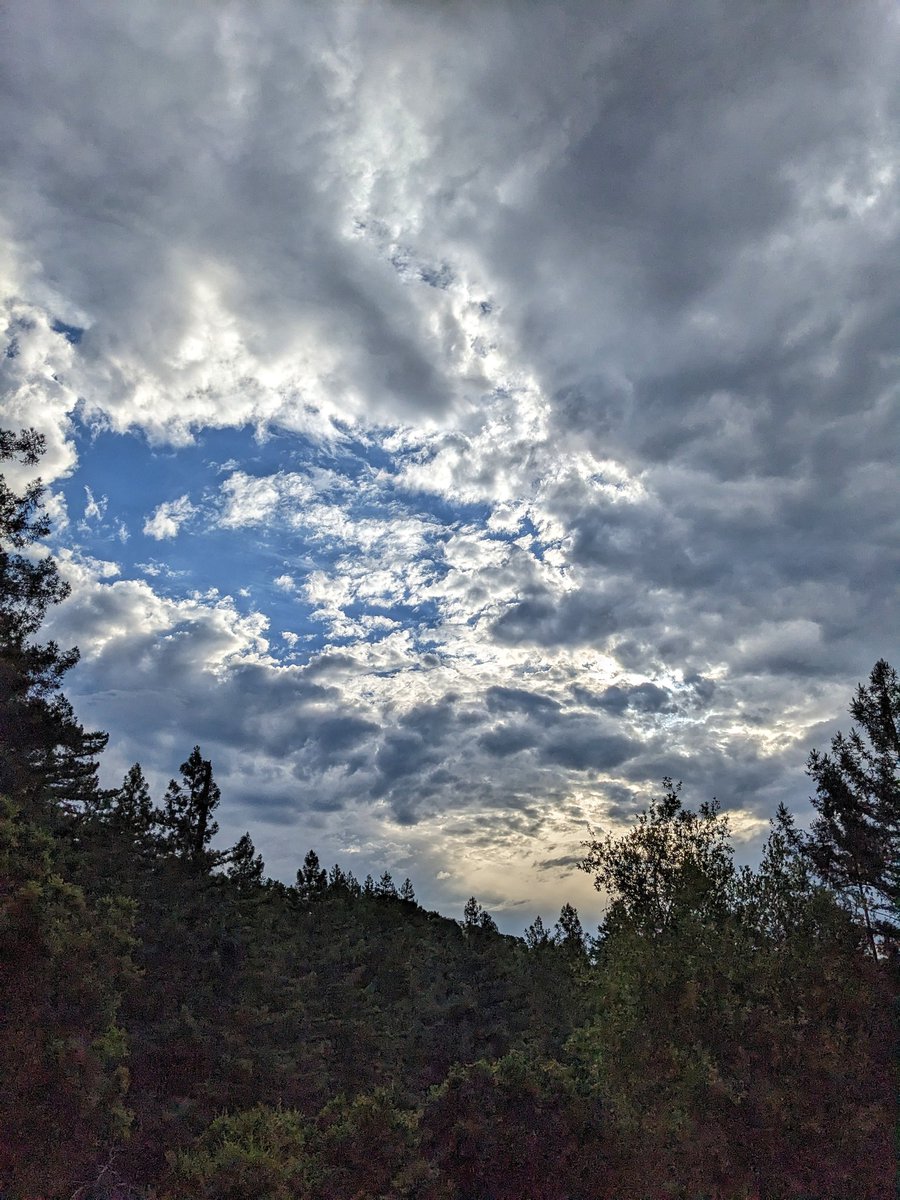 Thepitbulllady's tweet image. Getting some neat cloud formations up here in Lompico from the tropical moisture moving in from the east.  #santacruzmountains #lompico