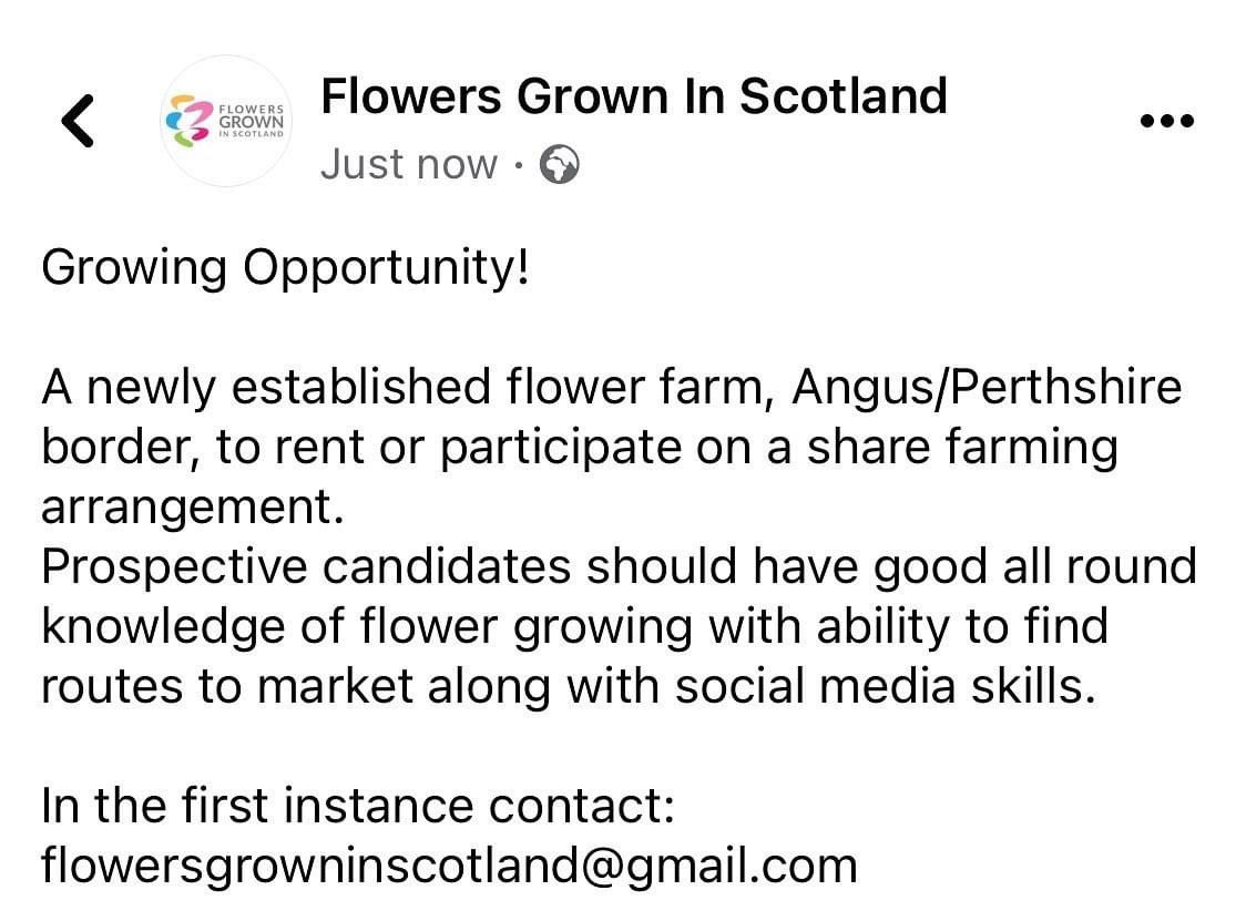 #growingopportunity #flowerfarm #scotland #flowersgrowninscotland