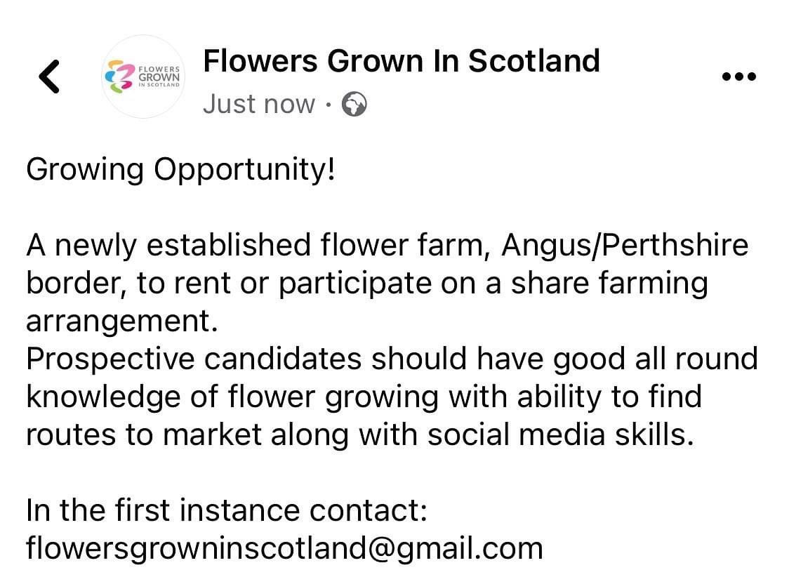 Flowers Grown In Scotland tweet media