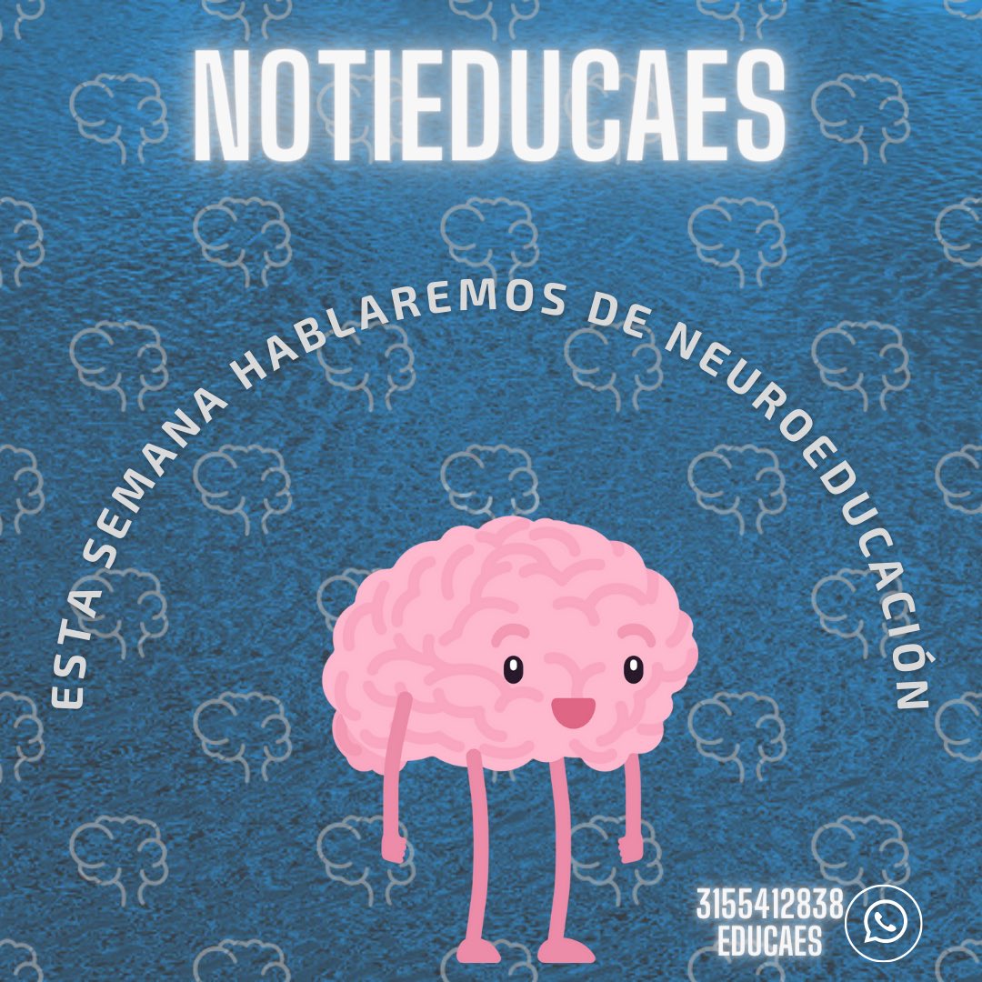 EDUCAES_'s tweet photo. Esta semana hablaremos de NeuroEducación de su importancia y beneficio al aplicarla en las aulas de clase.

Educaes 
3155412838

#docentes #magisterio #magisterioprimaria #colombia #profesionales #licenciados 

https://t.co/0KWvlO3SvD https://t.co/fURemZB1Cl