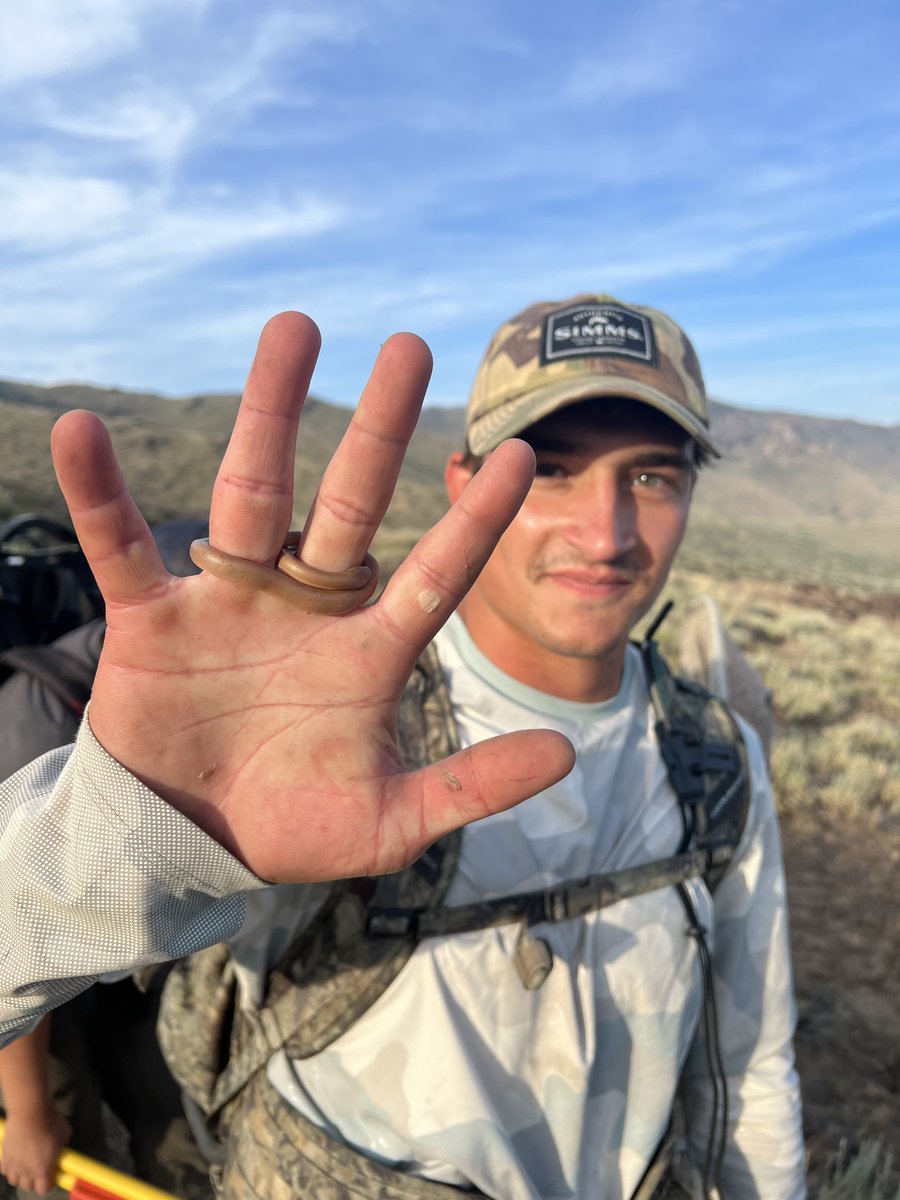 SDStateNRM tweet media