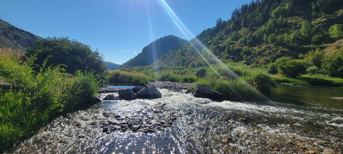 I think I might like Idaho