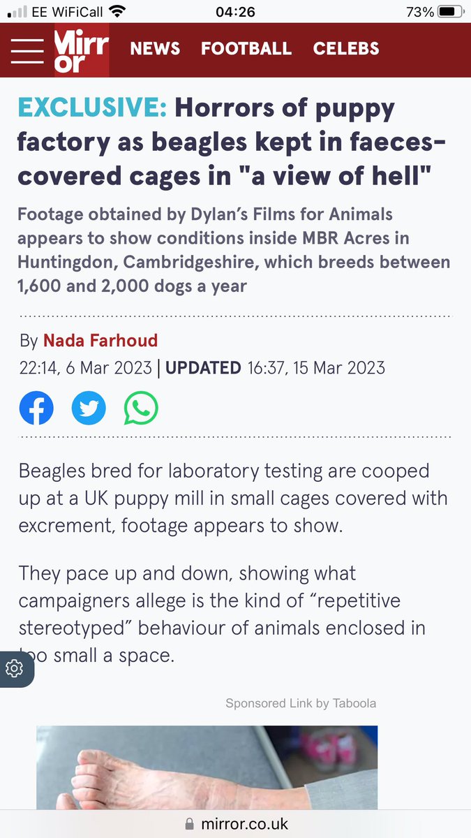 hellsbellsus's tweet image. We need 40,000 by 8 September. For the beagles please sign the petition and repost to everybody  petition.parliament.uk/petitions/6335…